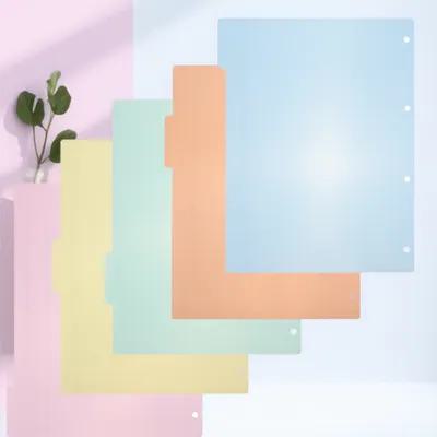 10Pcs Professional Plastic Ind - Tab Divider A4 recension och pris